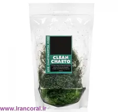 مشخصات، قیمت و خرید گیاه چیتو- 0 تا 100 نگهداری و تکثیر گیاه چیتو