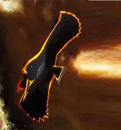 خفاش ماهی پیناتوس - فروشگاه اینترنتی ایران کورال