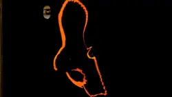 خفاش ماهی پیناتوس - فروشگاه اینترنتی ایران کورال