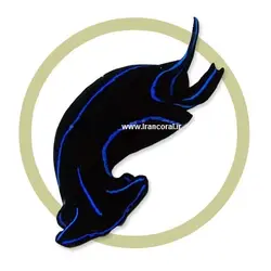 خرگوش دریایی بلو ولوت - فروشگاه اینترنتی ایران کورال