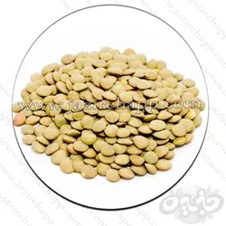 عدس فله 500 گرمی