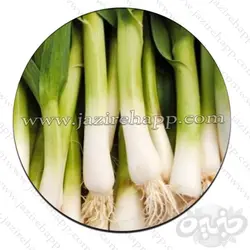 سیر تر تمیز شده یک کیلوگرم