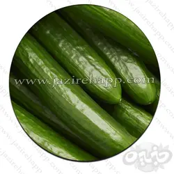 خیار گلخانه ای یک کیلوگرم