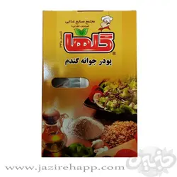 گلها پودر جوانه گندم ۲۰۰ گرمی