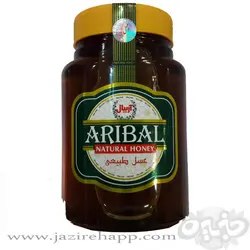 آریبال عسل بی موم شیشه مخصوص خانواده بزرگ چهل گیاه ۱۸۵۰ گرمی