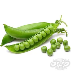 نخود فرنگی سبز یک کیلوگرم