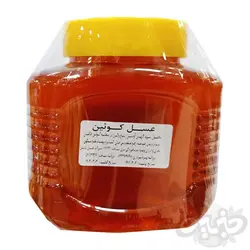 آبشن عسل کوئین یک کیلوگرم از آویشن