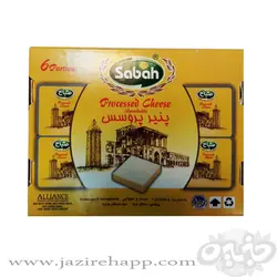 صباح پنیر پروسس چهار گوش ۱۰۰ گرمی