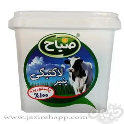 صباح پنیر لاکتیکی ۴۰۰ گرمی