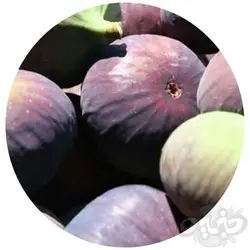 انجیر محلی 550 گرم