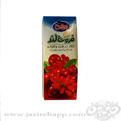 فروت لند نکتار زرشک آلبالو ۲۰۰ سی سی