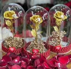 تراریوم رز طلا جاودان کد 110