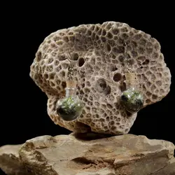 گوشواره تراریوم  مهر