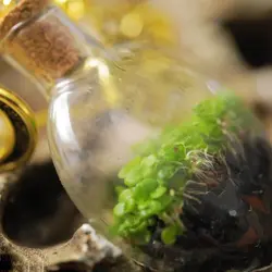 گردنبند تراریوم مهتاب