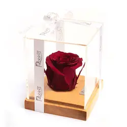 رز جاودان رزیتا پایه چوبی