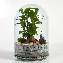 تراریوم بونسای با تم قلعه