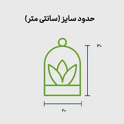 تراریوم بونسای با تم قلعه