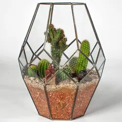 تراریوم لاکچری سایز بزرگ