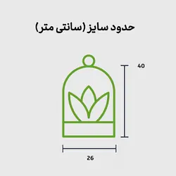 تراریوم نیمه باز اورست