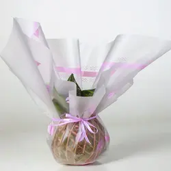 کوکداما کراسولا خرفه ای