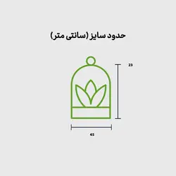 تراریوم گیاهان باغ عدن