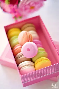 گیفت ماکارون 12 تایی