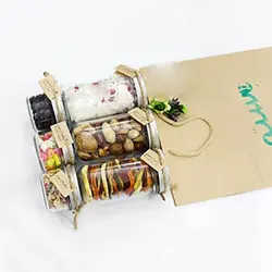 پک تنقلات خودمانی کد pe013