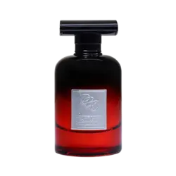 ادوپرفیوم کانفیدنت آر بی سی استوری | RBC Story Confident EDP