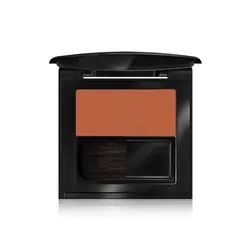 رژگونه این لی پریچهر | Inlay Blusher Parichehr