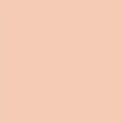پنکیک این لی شماره 20 رزپیچ|Inlay Rose Peach Pressed Powder No 20
