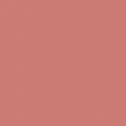 رژگونه این لی شماره 02 پینک رز|Inlay Pink Rose Blusher No 02