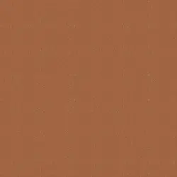 رژگونه این لی شماره 06 گلدن وود|Inlay Golden Wood Blusher No 06