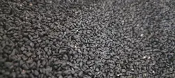 دانه سیاهدانه هندی روغن گیری