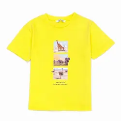 تیشرت پسرانه خوشرنگ تیشرت پسرانه طرح حیوانات برند Mayoral