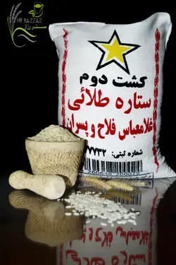 کشت دوم غلامعباس فلاح وپسران 10 کیلویی