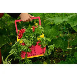 سبد تاشو کوچک