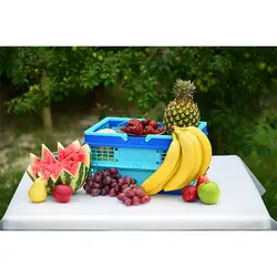 سبد تاشو کوچک