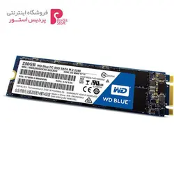 حافظه SSD وسترن دیجیتال مدل BLUE WDS250G1B0B ظرفیت 250 گیگابایتWestern Digital BLUE WDS250G1B0B SSD Drive - 250GB
