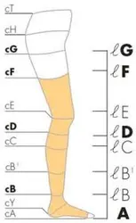 جوراب واریس سیگواریس کلاس 2 SIGVARIS CCL | پزشک شاپ