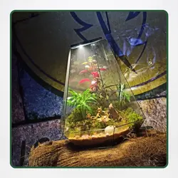 پکیج آموزش حرفه ای تراریوم