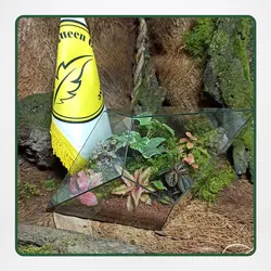 پکیج آموزش حرفه ای تراریوم