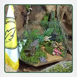 پکیج آموزش حرفه ای تراریوم