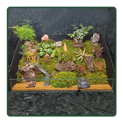 سوپر تراریوم خونه مادر بزرگه