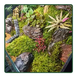 سوپر تراریوم خونه مادر بزرگه