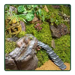 سوپر تراریوم خونه مادر بزرگه