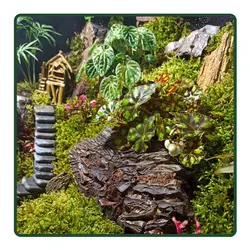 سوپر تراریوم خونه مادر بزرگه