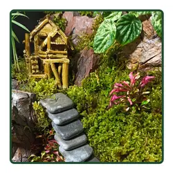 سوپر تراریوم خونه مادر بزرگه