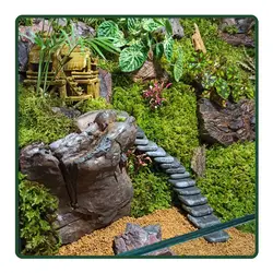 سوپر تراریوم خونه مادر بزرگه