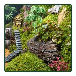 سوپر تراریوم خونه مادر بزرگه