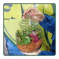 تراریوم اطلس